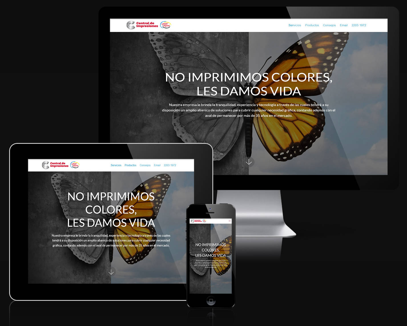 Central de Impresiones website